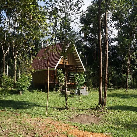 Khao Sok Jungle Resort Khao Sok National Park Bagian luar foto