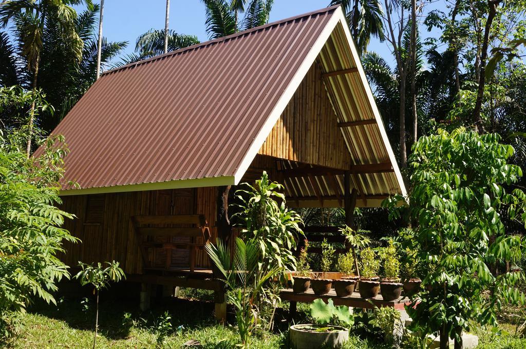 Khao Sok Jungle Resort Khao Sok National Park Ruang foto