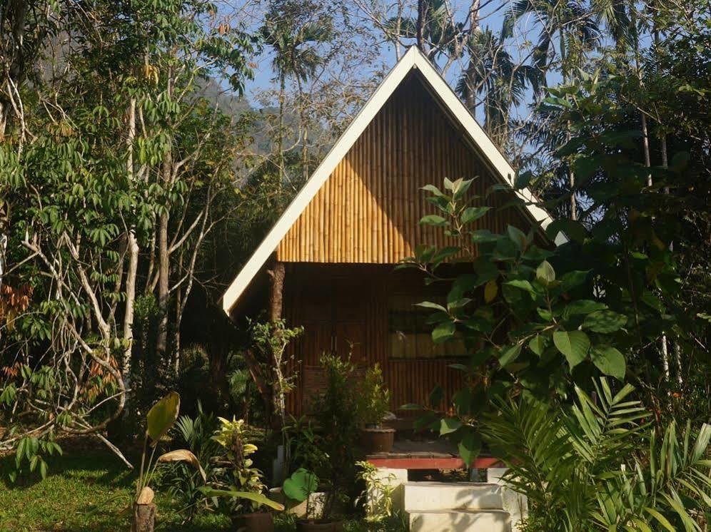 Khao Sok Jungle Resort Khao Sok National Park Bagian luar foto