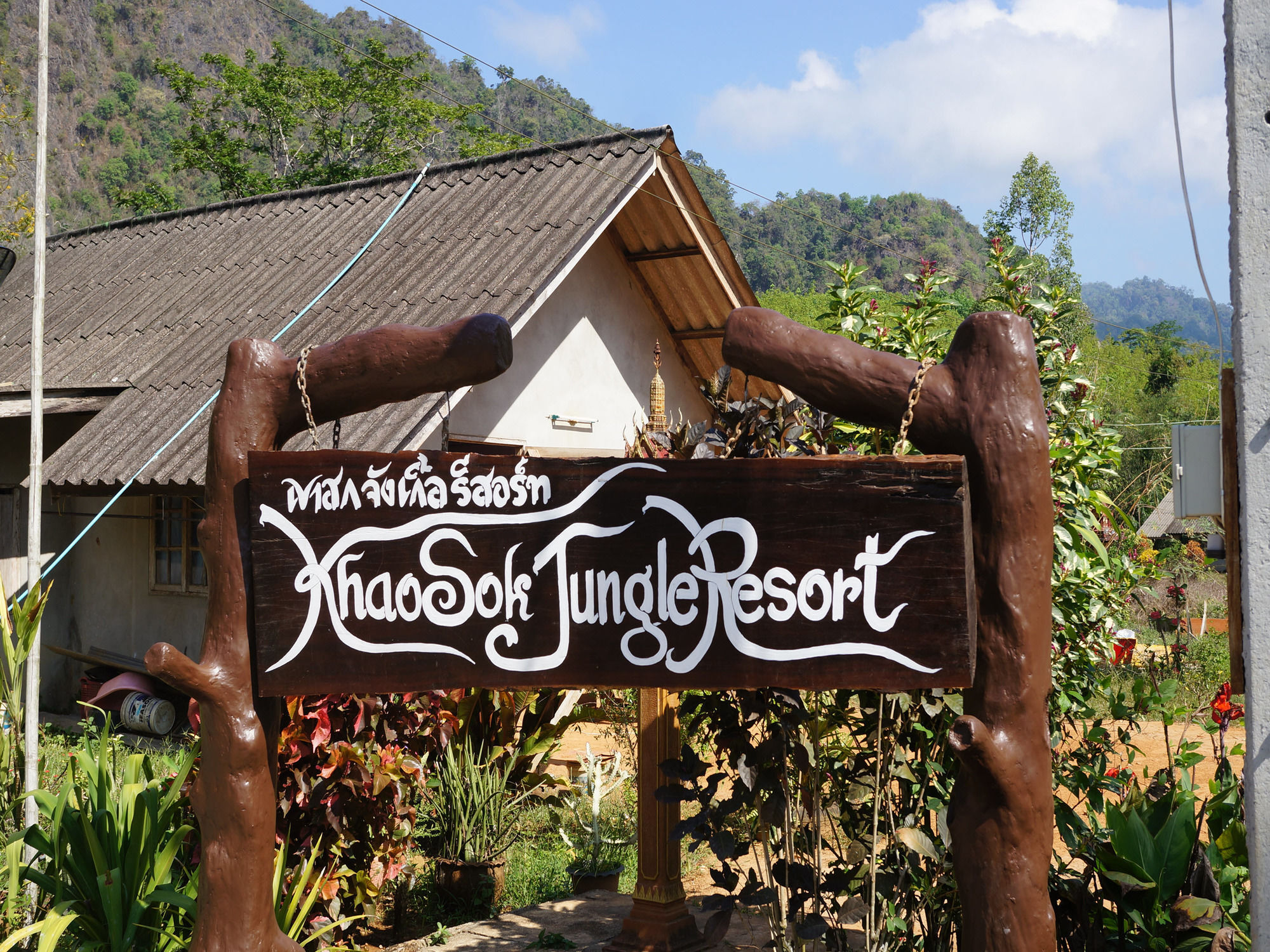 Khao Sok Jungle Resort Khao Sok National Park Bagian luar foto