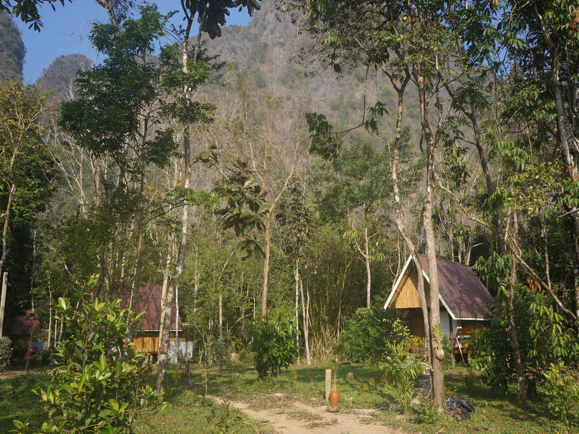 Khao Sok Jungle Resort Khao Sok National Park Bagian luar foto