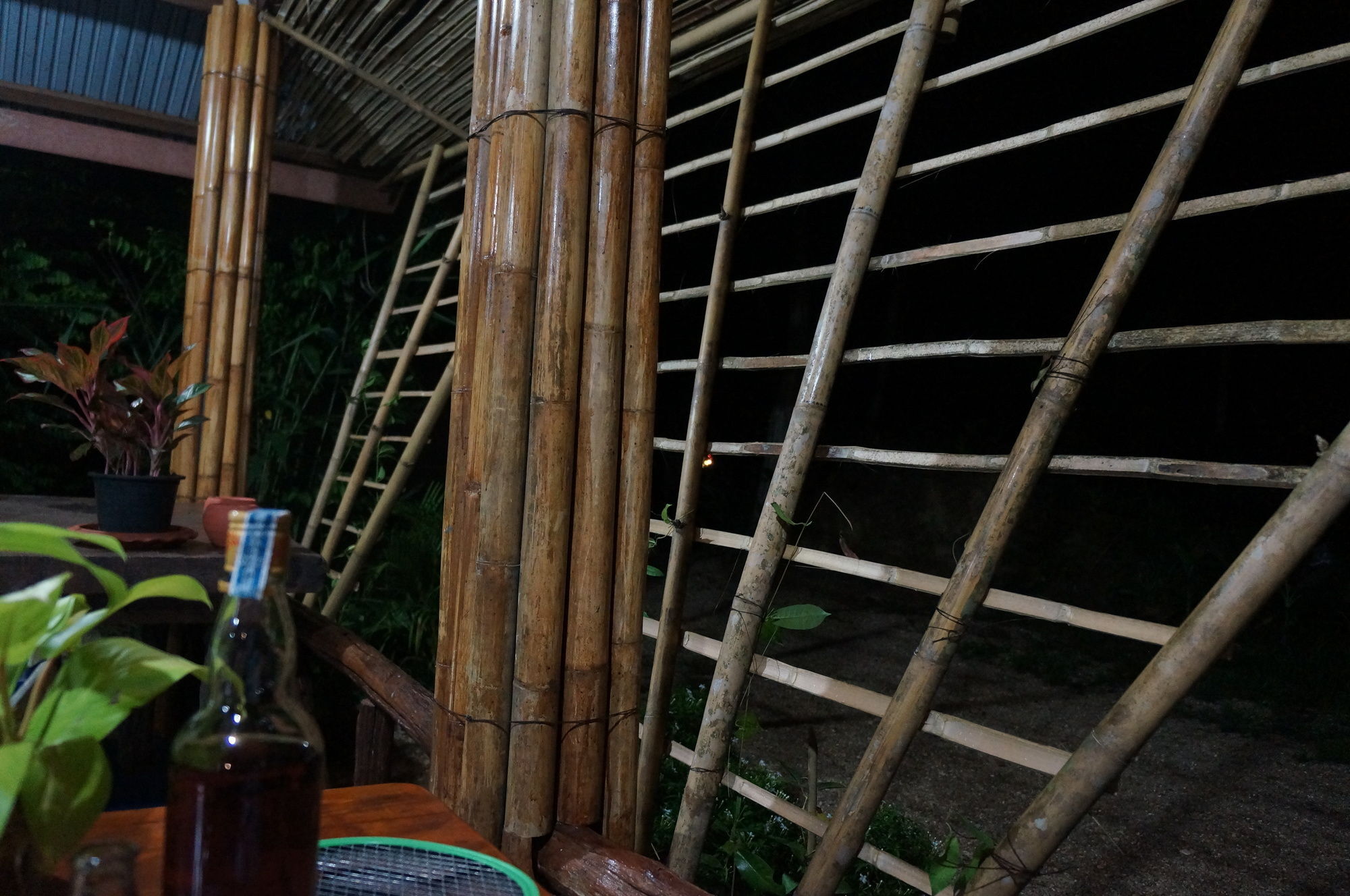 Khao Sok Jungle Resort Khao Sok National Park Bagian luar foto