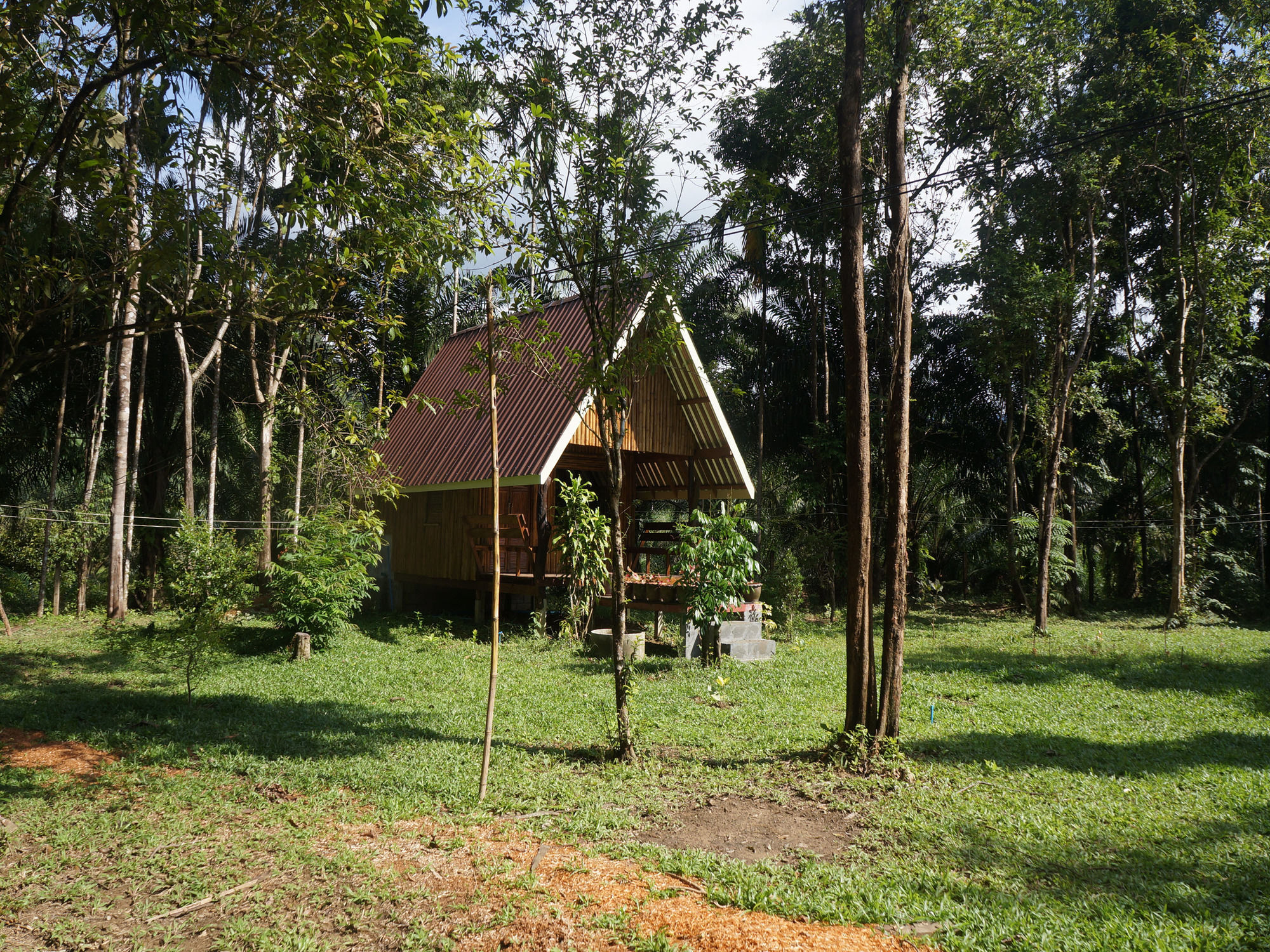 Khao Sok Jungle Resort Khao Sok National Park Bagian luar foto