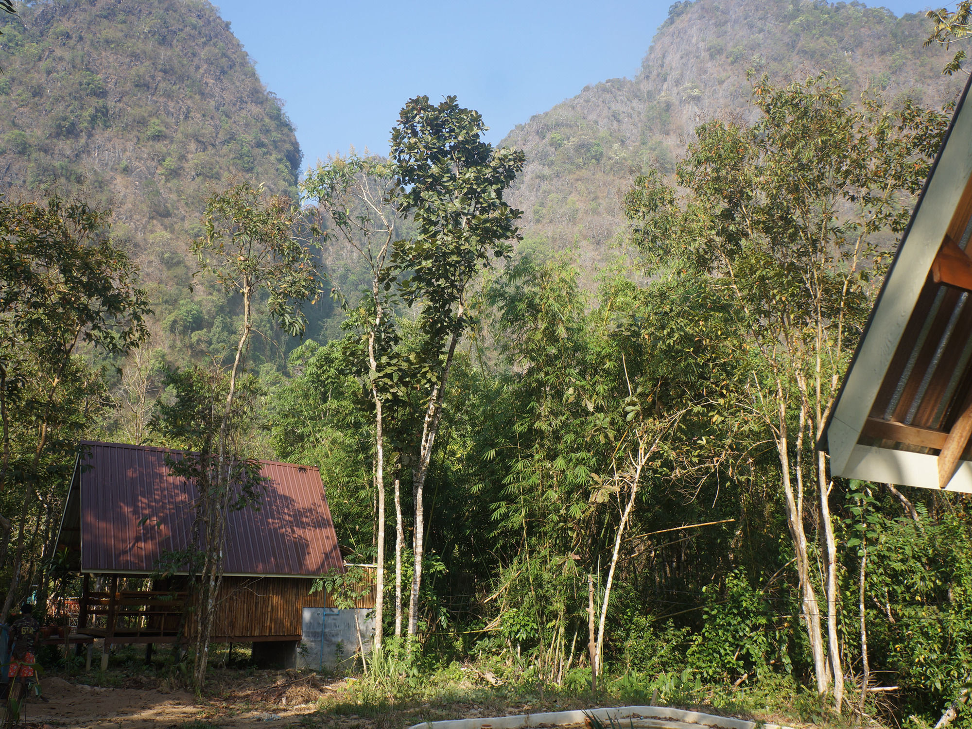Khao Sok Jungle Resort Khao Sok National Park Bagian luar foto